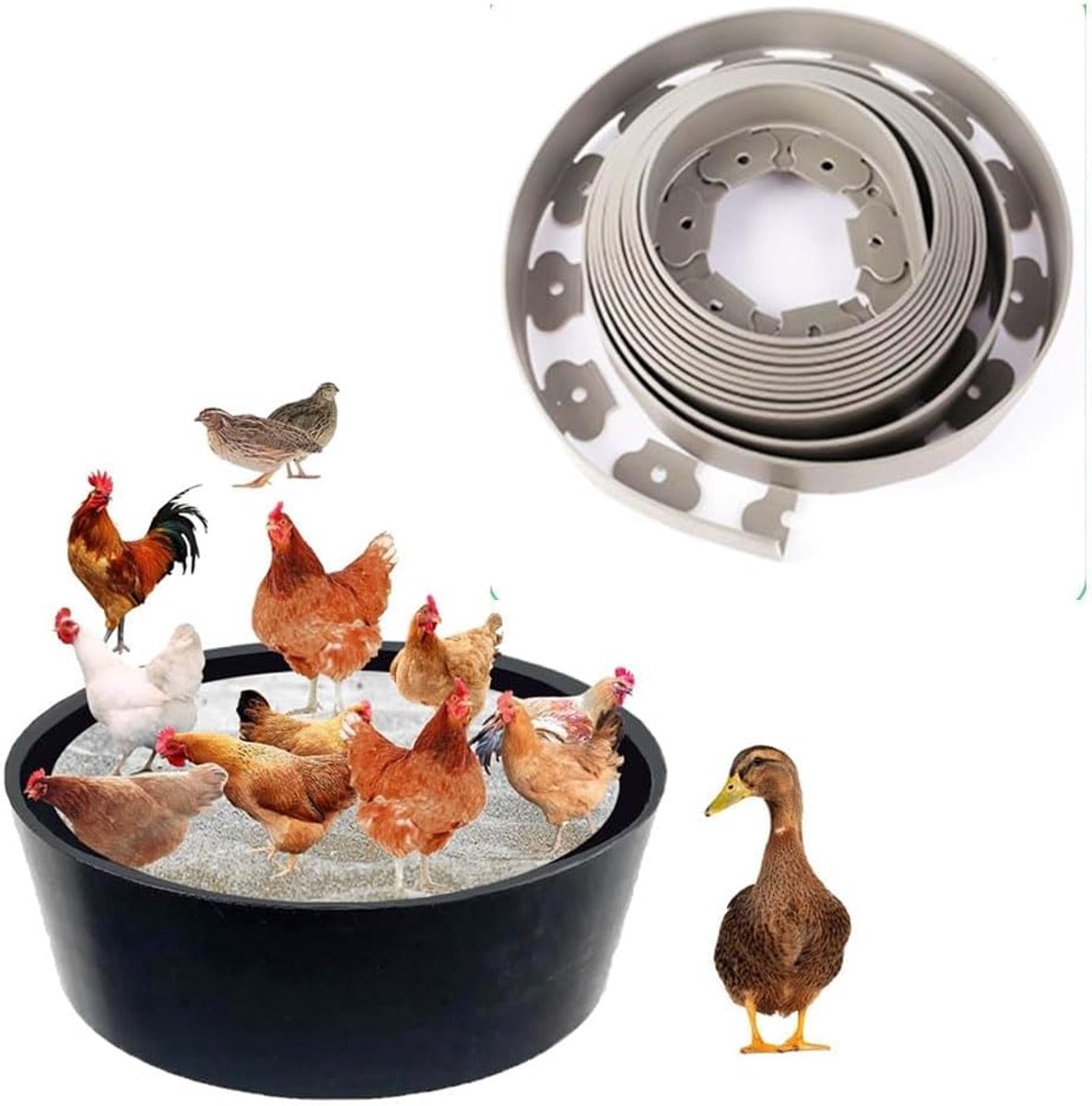 Zandbaden voor kippen, bodemloze constructie, PE-omgeving, zandbad voor kippen, reinigingsbak voor kippenhok, bak voor kippenhokkalk, Essential Chicken (grijs)