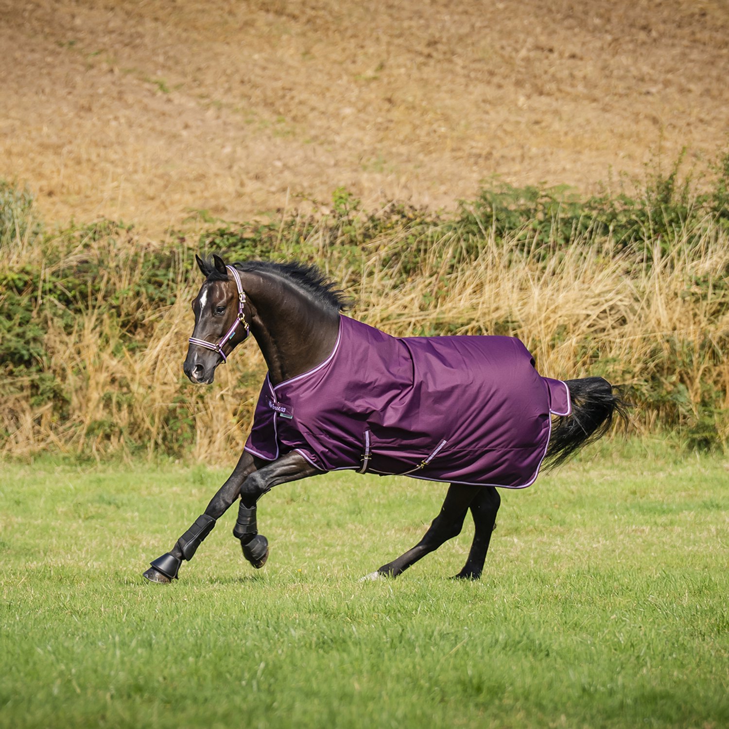 Bucas Winterdeken Bucas Freedom Turnout Aw26 150gr Donkerrood - 155/208