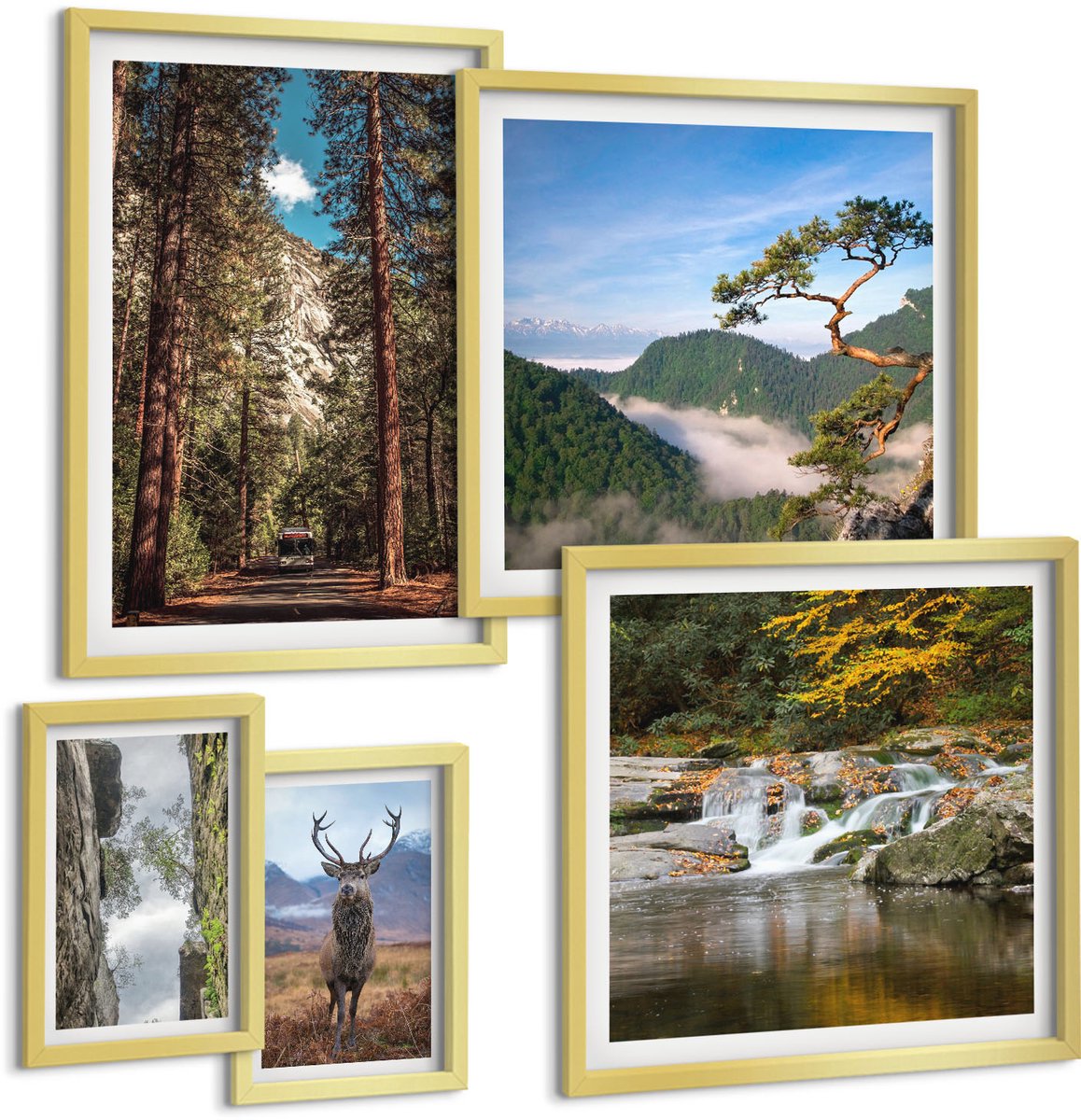 Coloray 5-Delige Schilderij Set - Natuurlijke Landschappen Van Bergbossen En Wilde Dieren - 50 x 50 cm, 20 x 30 cm En 40 x 60 cm - Stijlvolle Muurdecoratie - Slaapkamer