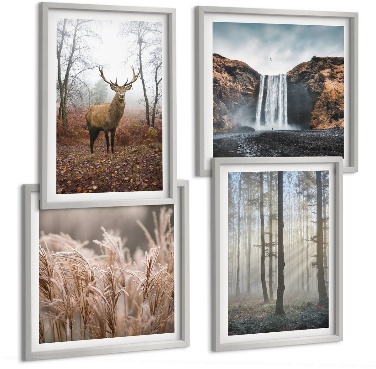 Coloray 4-Delige Schilderij Set - Boslandschappen Wilde Natuur Herten - 40 x 40 cm En 40 x 60 cm - Wanddecoratie - Schilderijen Set - Kantoor