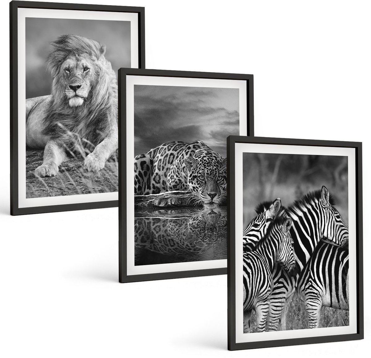 Coloray 3-Delige Schilderij Set - Wilde Dieren Van De Savanne: Leeuw, Jaguar En Zebra. - 40 x 60 cm - Muurdecoratie - Decoratieve Schilderijen - Wohnzimmer - Woonkamer Decoratie