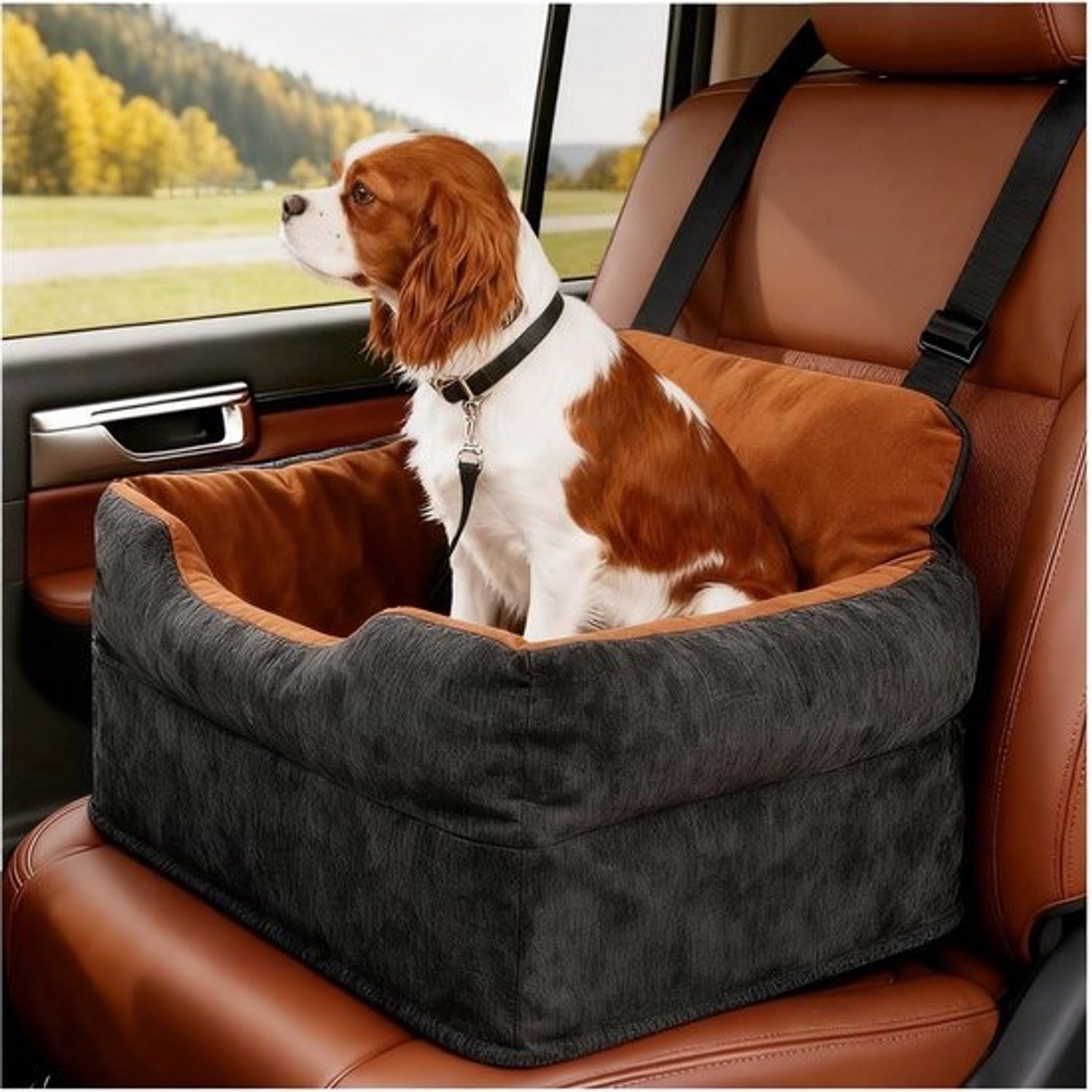 Verhoogde autostoel voor honden - Autobed voor onderweg - Veilig op reis - Beter zicht vanuit de auto - 15 cm hoog - Zwart