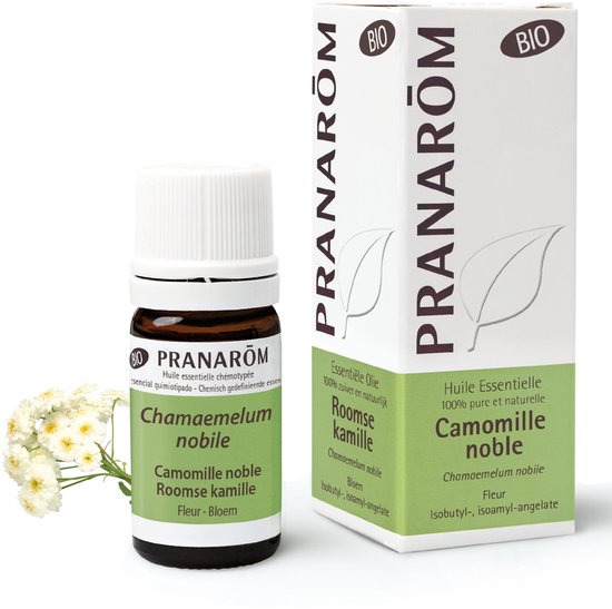 Pranarôm Essentiële Olie Roomse Kamille Bio | Ontspanning & Huidverzorging 3x3x8 Etherische olie