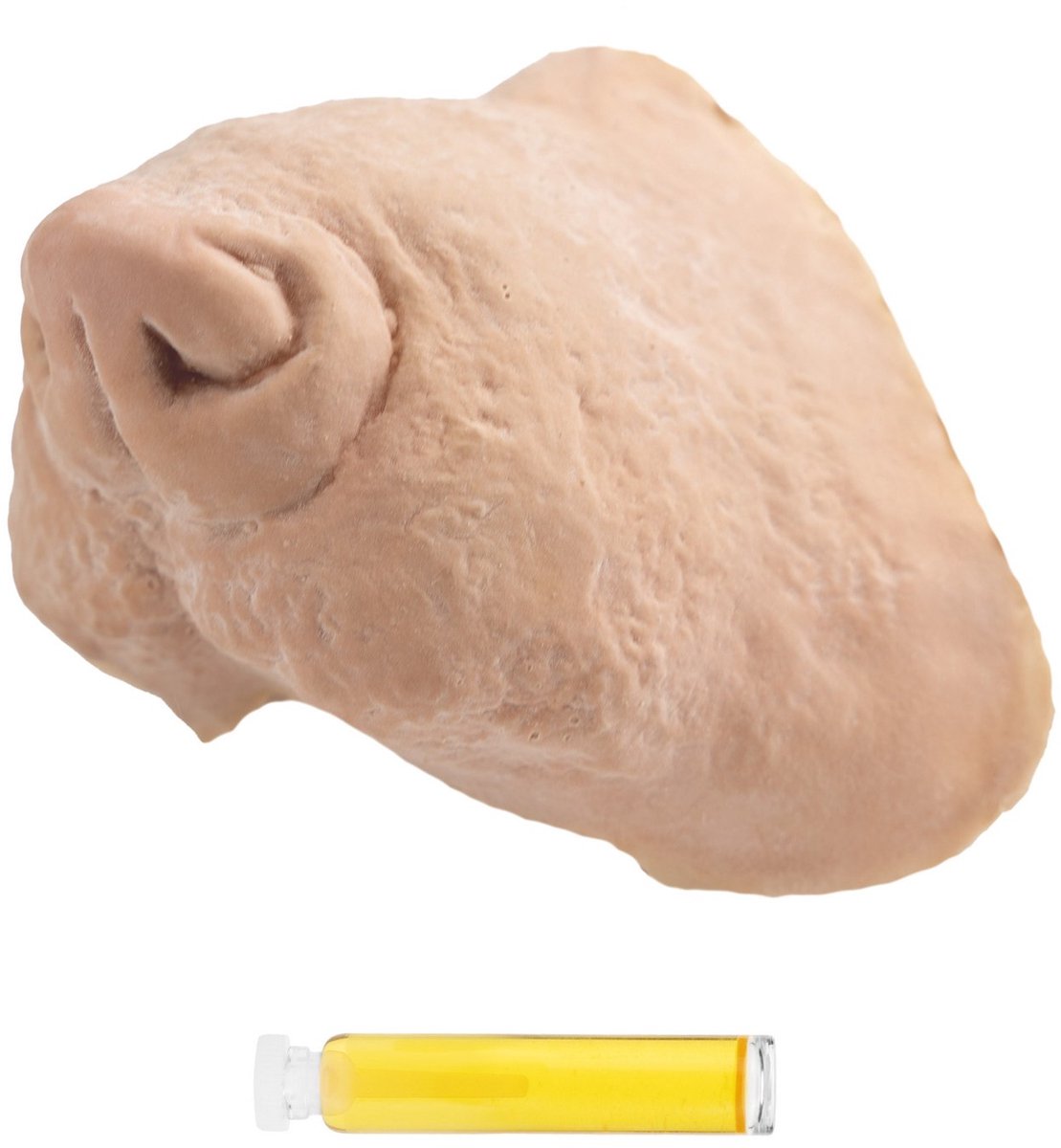 Rat Latex Snuit Met Mastix