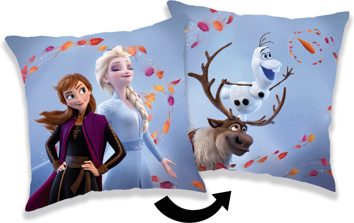 Disney Frozen Sierkussen Wind - 40 x 40 cm - Polyester Multi