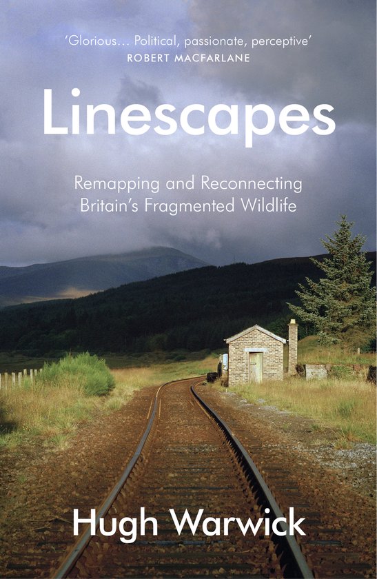 Linescapes - cover