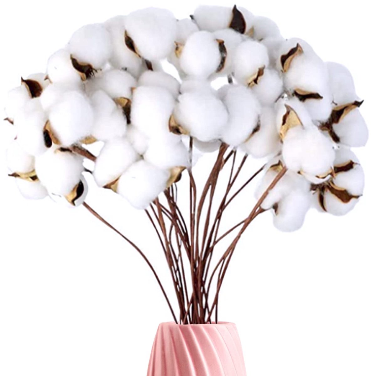 Dailygoods - Katoenen Decoratieve Takken - Gedroogde Bloemen voor Interieurdecoratie