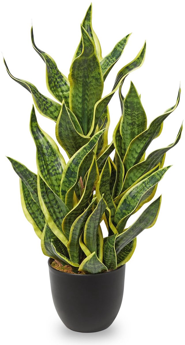 Dailygoods - Kunstmatige Sansevieria Trifasciata Plant - 32 Inch Groene Plant in Pot