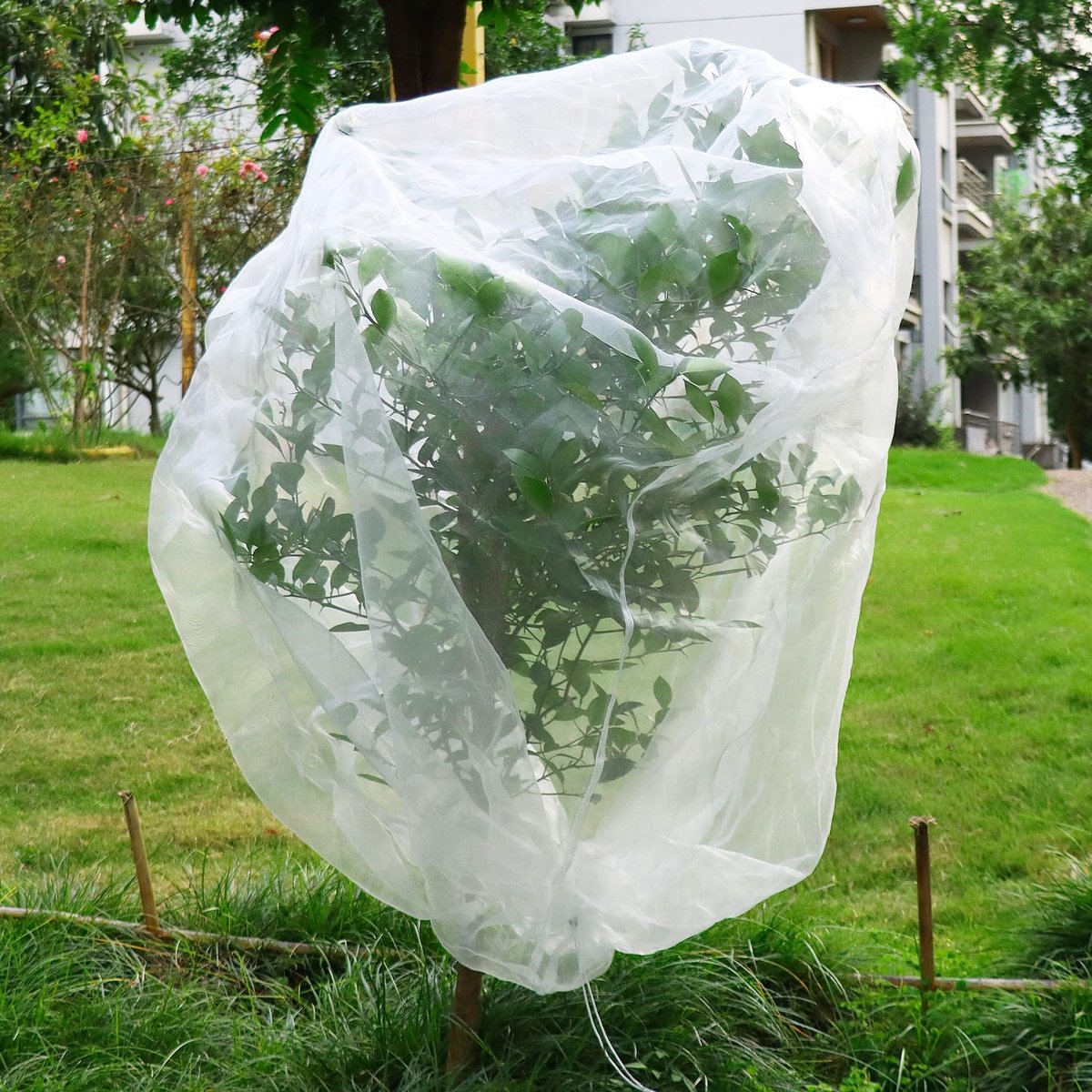 Dailygoods - Fruitboomnet met Trekkoord - 195x175cm Bescherming voor Bessen en Groenten