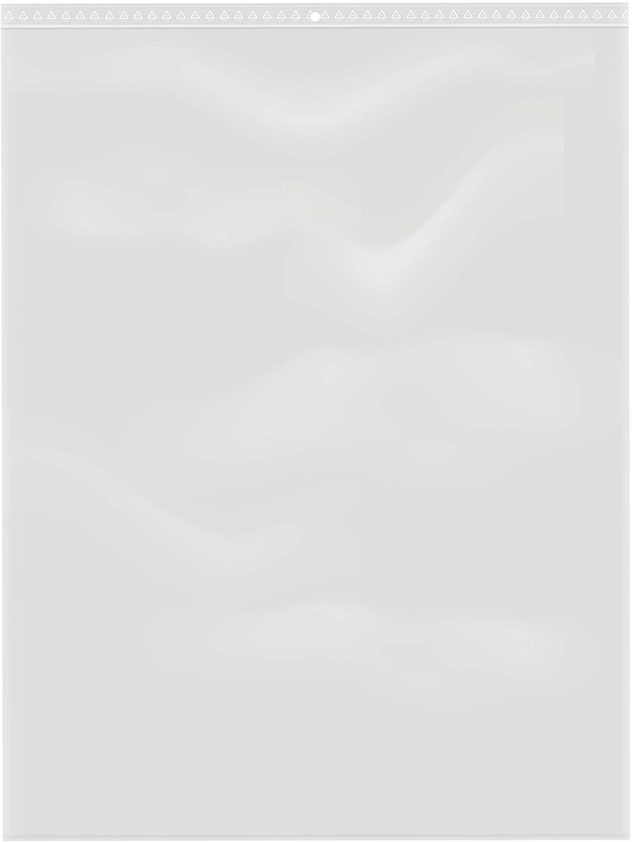Dailygoods - 100 transparante zakjes met ritssluiting 30 x 40 cm voor levensmiddelen en accessoires