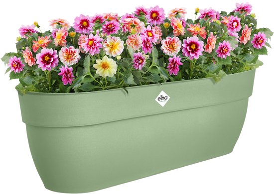 Pistachegroene Elho balkonbak gevuld met veelkleurige dahlia's, op witte achtergrond.