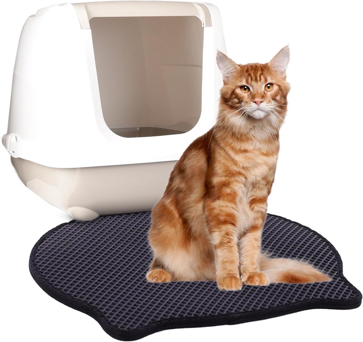 Kattenbakmat - Voorlegmat Kattenbak - Netheid Thuis - Dubbellaags Vangt Grit - 50 x 40 cm - Zwart
