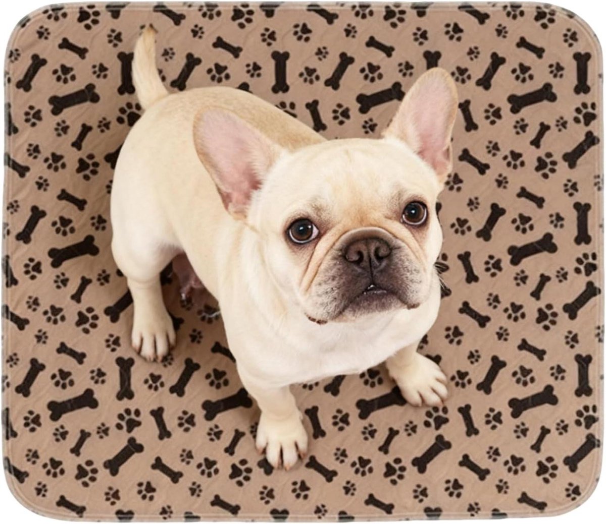 Wasbare Plasmat - Herbruikbare Mat - Zindelijkheidstraining Honden - Geurbestendig Absorberend - 70 x 80 cm - Bruin