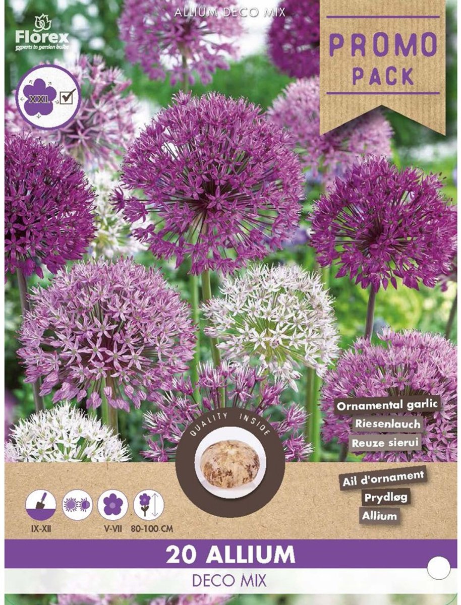 Allium Deco Mix - Sierui - Bijen-Vlinders - Snijbloemen - Voorjaarsbollen - bloeit in Mei / Juni / Juli