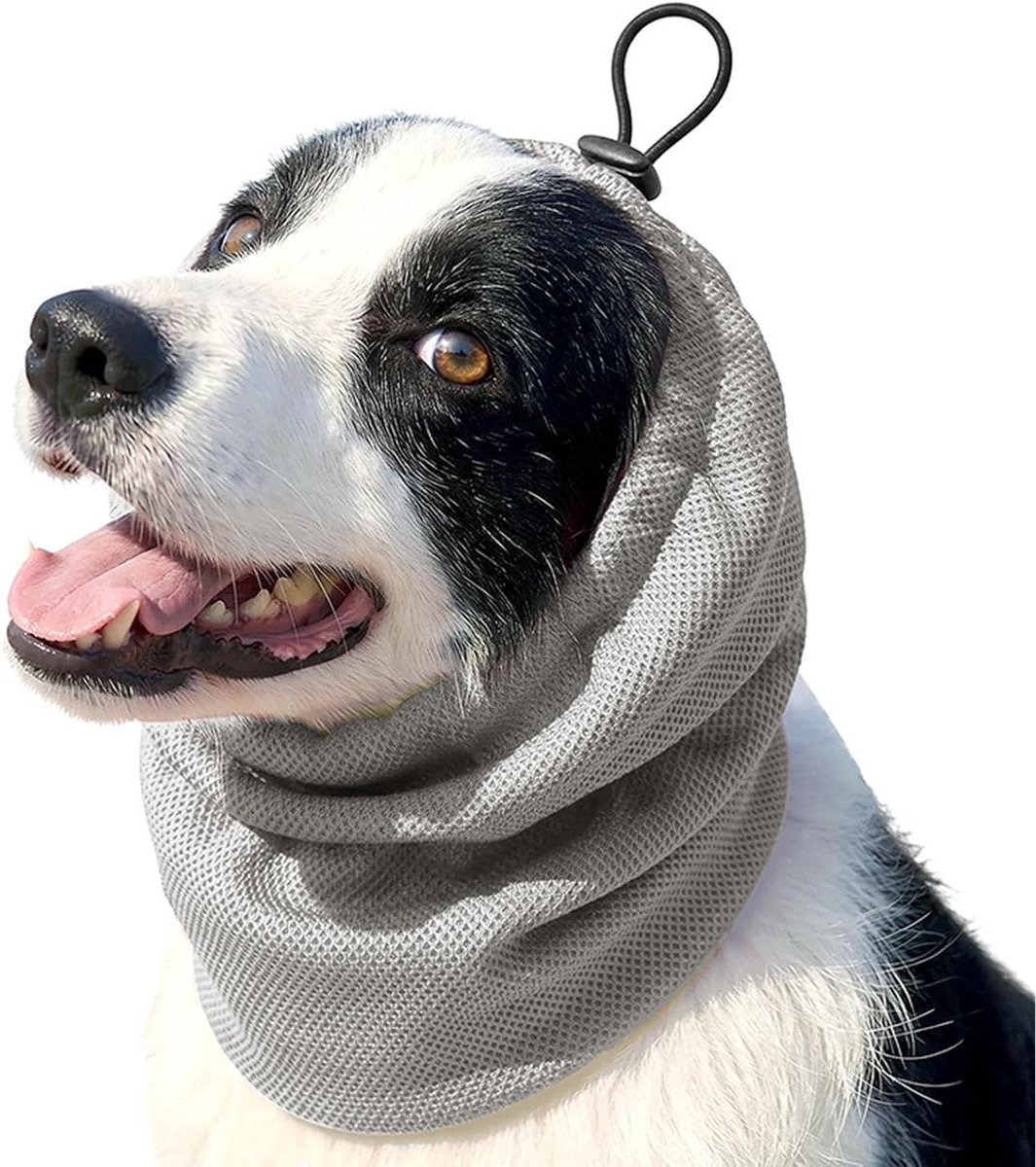 Verkoelend Hondenhalsband - Hondenband Koel - Hittebescherming Hond - Verdampingskoeling - Maat S - Meerkleurig