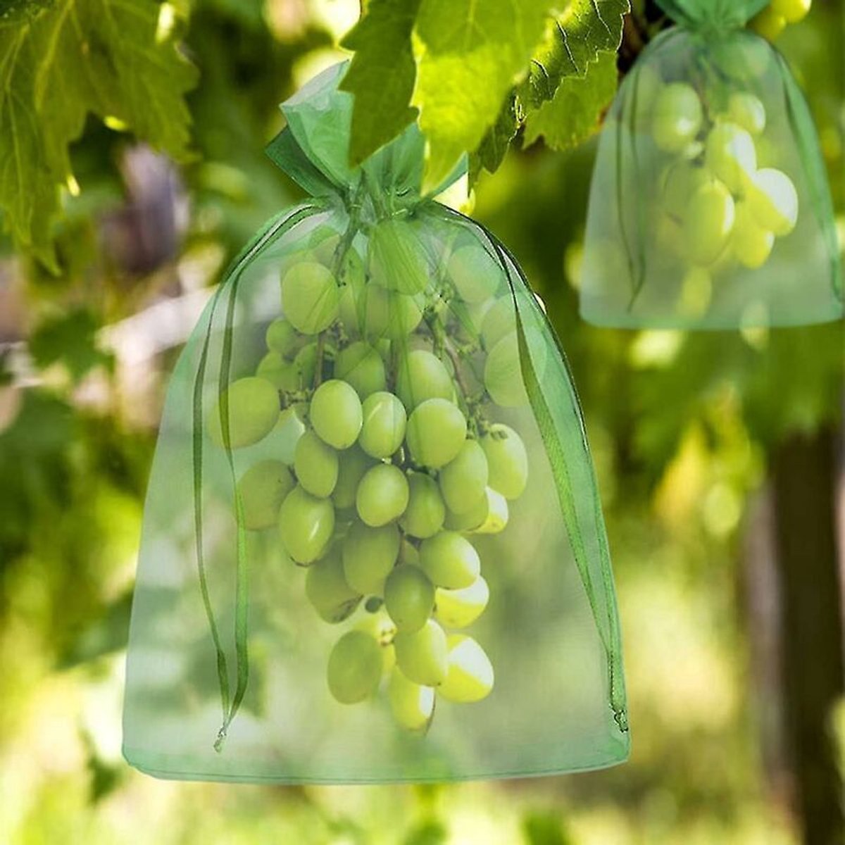 Verpakking van 100 organza beschermzakjes, 20x15 cm – Met nylon trekkoord – Hoge dichtheid, voorkomt effectief de overdracht van insecten en ziekten.