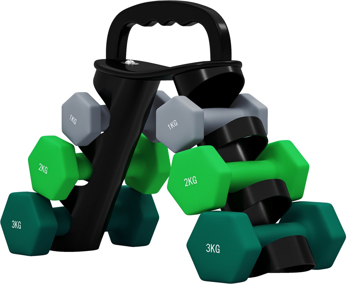 ECTEATOY® Dumbbellset - Halterset met Opbergrek 12 kg - Dumbbellset 6-delig (2x1kg, 2x2kg, 2x3kg) - Zeshoekige Dumbbells voor Thuis