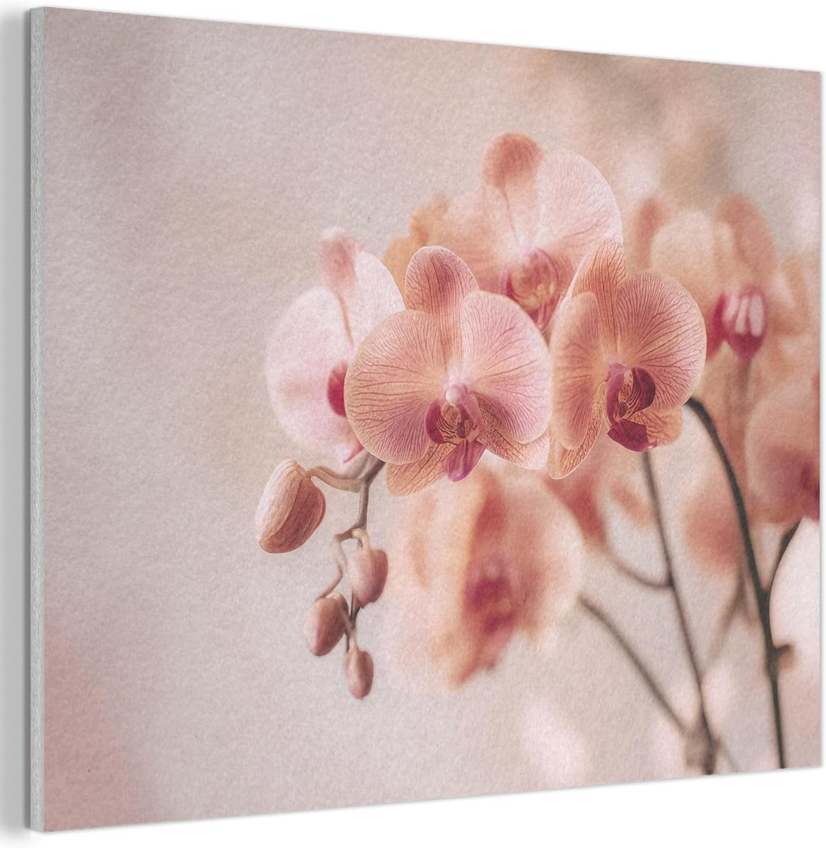 "MuchoWow© Vilten Wanddecoratie 40x30 cm Kamer Decoratie Woonkamer Slaapkamer Room Decor Wanddeco Felt Wall Art Orchidee - Bloemen - Roze - Bloemblaadjes"