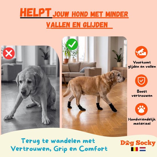 Labrador met antislip sokken die helpen tegen vallen en glijden, vergroot het vertrouwen.