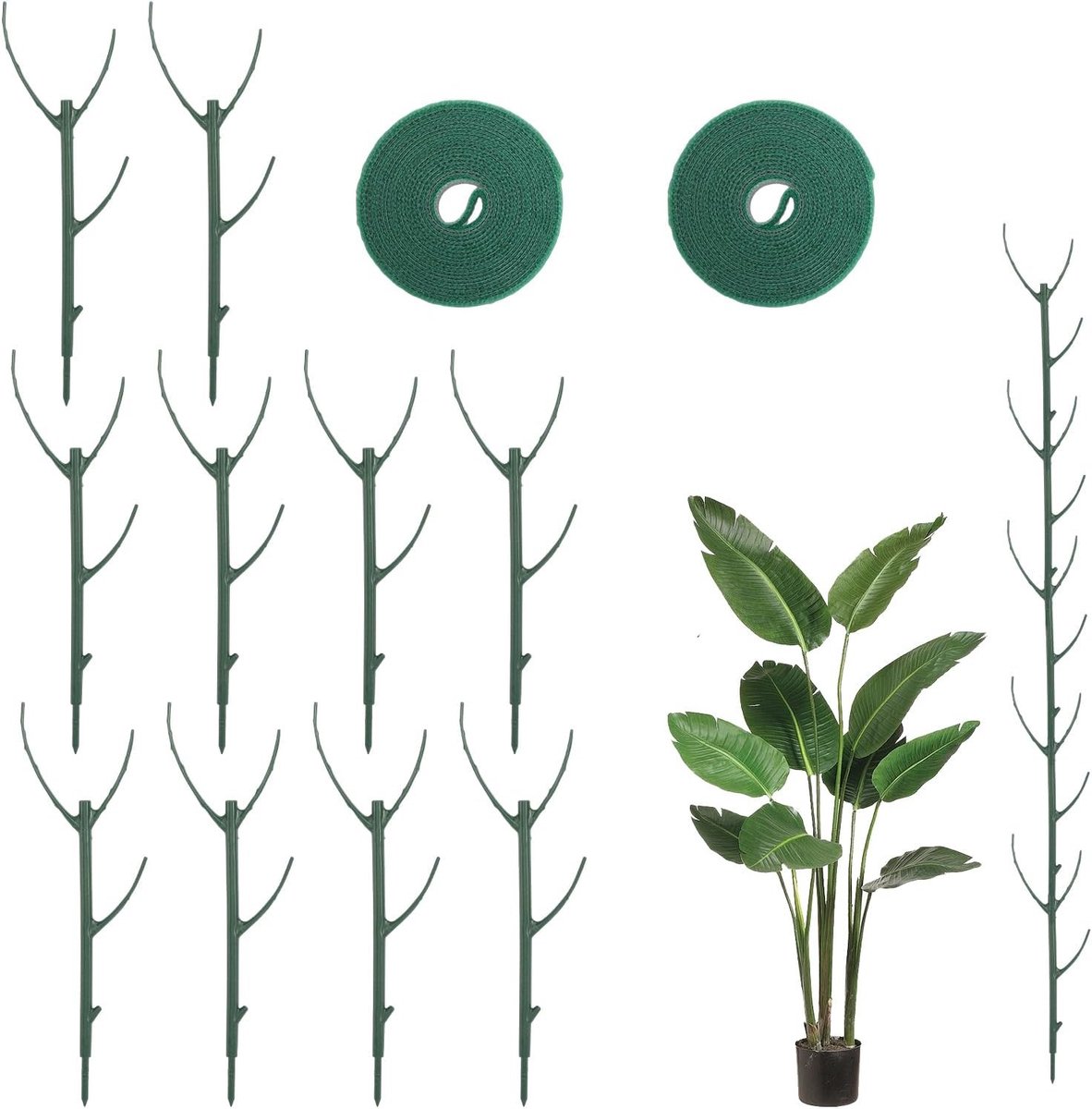 Plantensteunen - Steunpalen houders - Planten Ondersteunen - Verstelbaar ontwerp - 10 stuks - Groen
