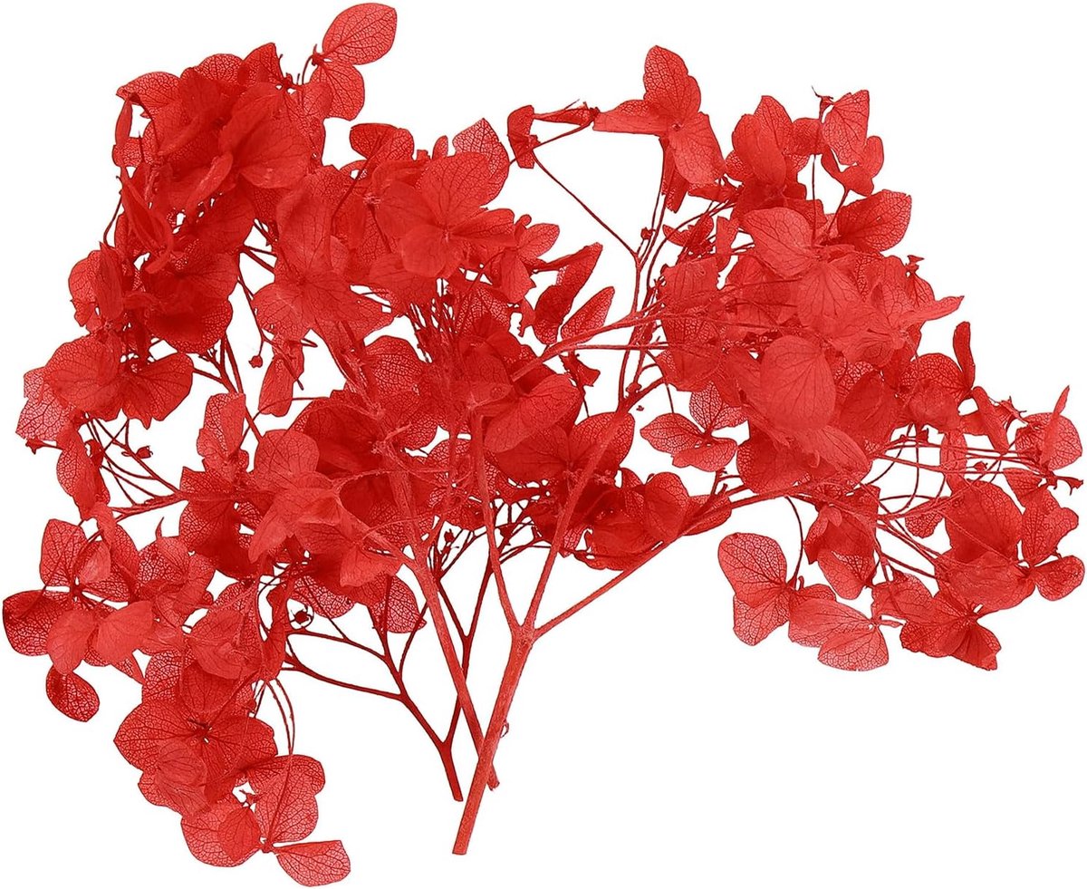 Gedroogde hortensia bloem, 10 g natuurlijke geperste bloemen, echte hortensia's bloemblaadjes voor doe-het-zelf hars ambachten kaart bloemen cadeau kaars maken decor, rood
