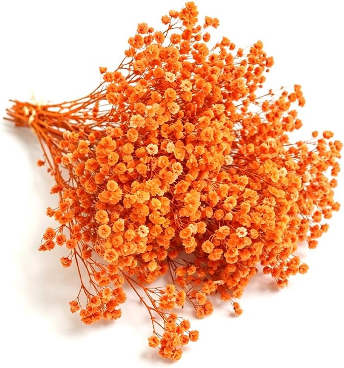 Gedroogde gypsophila bloemen (oranje)