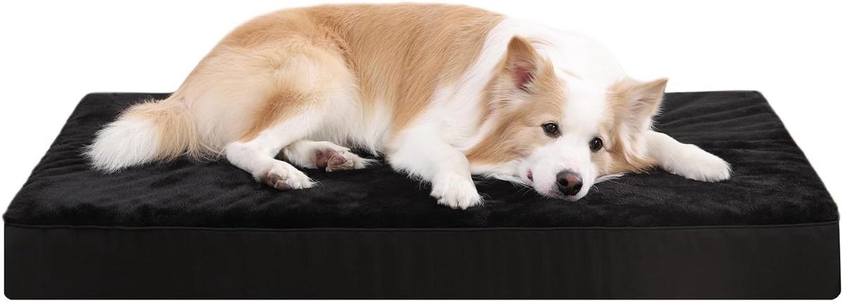 Hondenmand - Honden kussen - Comfortabel slapen - Orthopedisch schuim - 88x55x7 cm - Zwart