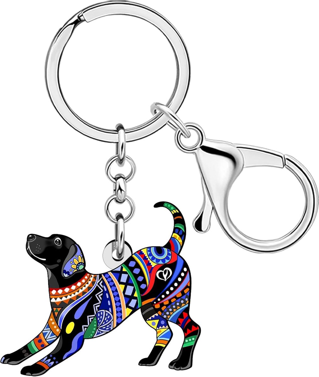 Acryl Leuke Labrador Sleutelhanger Hond Moeder Geschenken Voor Vrouwen Hond Liefhebbers, Boho Pet Puppy Sleutelhangers Portemonnee Tas Charm Accessoires