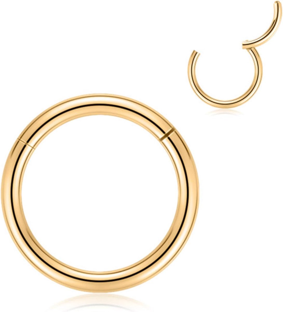 Ringen van 316L chirurgisch staal, hoepel, 20G, 18G, 16G, 14G, 12G, naadloze piercing, ringen voor neus, septum, kraakbeen, helix, tragus, conch, rook, daith lobe, diameter: 6