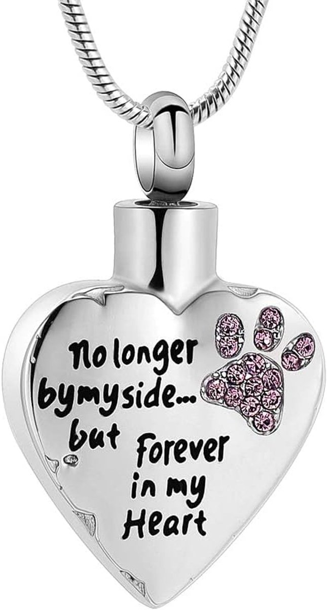 Memorial jewelry Je vleugels waren klaar, maar mijn hart was niet van roestvrij staal gesneden medaillon crematie urn halsketting voor huisdier, hond en katten