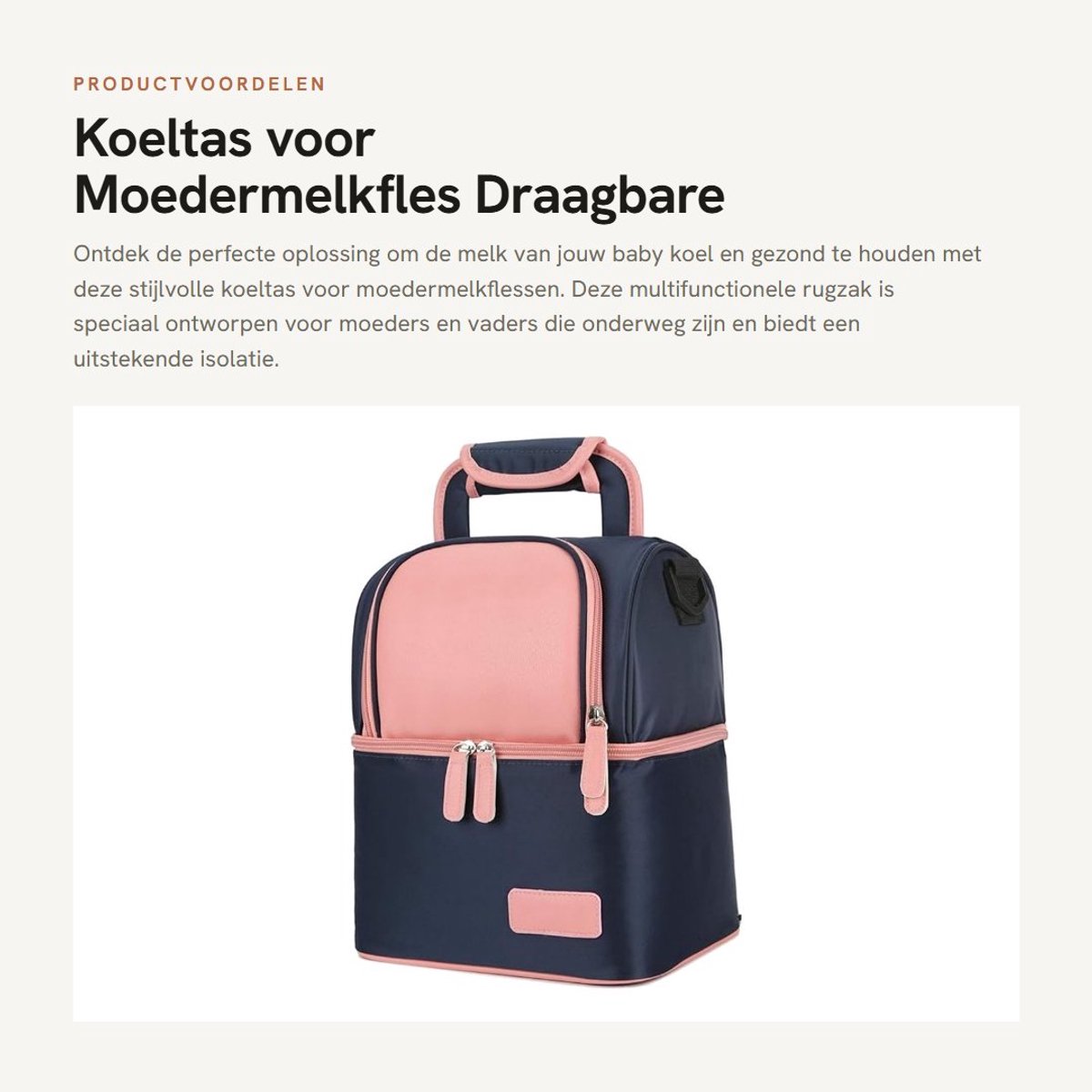 Dailygoods- Koeltas Waterdicht - Reisrugzak voor Moedermelk - Draagbare Thermische Lunchbox - Premium Isolatie - Handtas - Ruime Toegang - Borstvoedingsrugzak