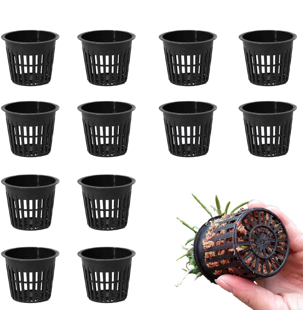 Dailygoods - 12 PCS Hydro Pot, Plant Pot Hydrocultuur, Zaai Pot Hydrocultuur, voor Kleine Hydrocultuurplanten Zoals Lotus en Groene Radijs. (Zwart)
