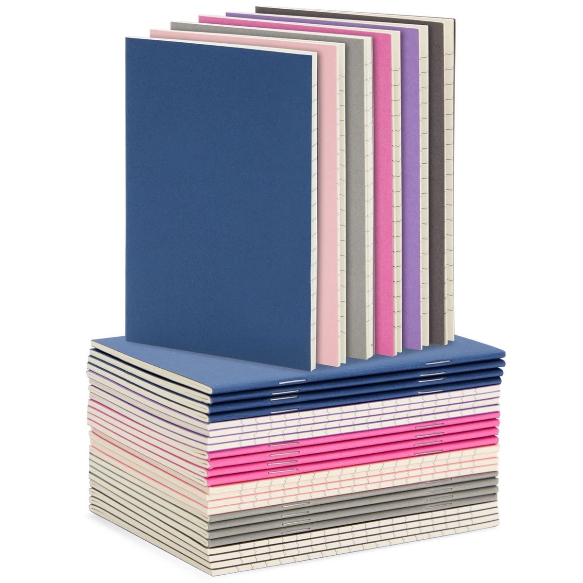 Dailygoods- Notitieboeken 24-pack - Mini Notitieboeken - Compositie Notitieboeken - Dagboek - Schrijfblokken - 48 Gelinieerde Pagina's - 8,9 x 12,7 cm - Schrijfblok