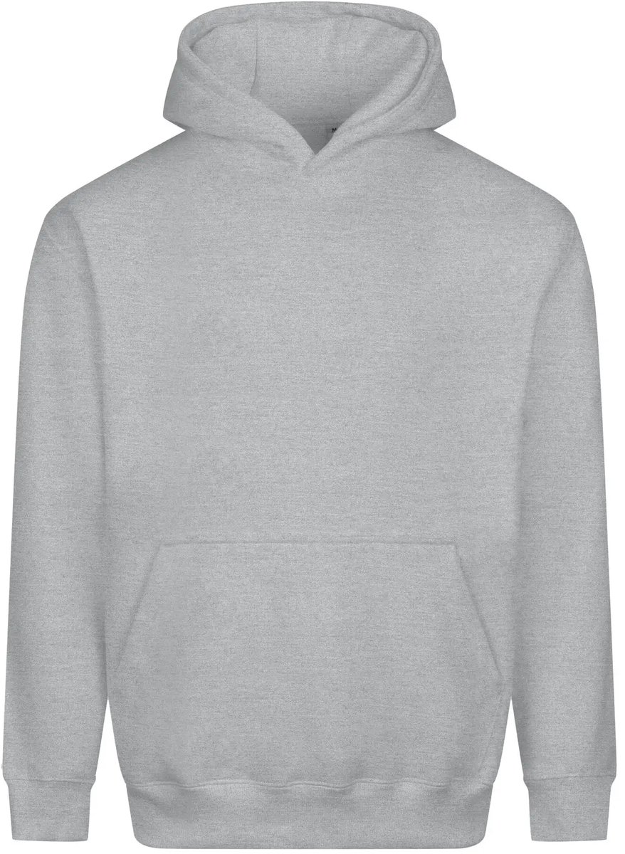 Dikke Hoodie Just Hoods Vision Heidegrijs