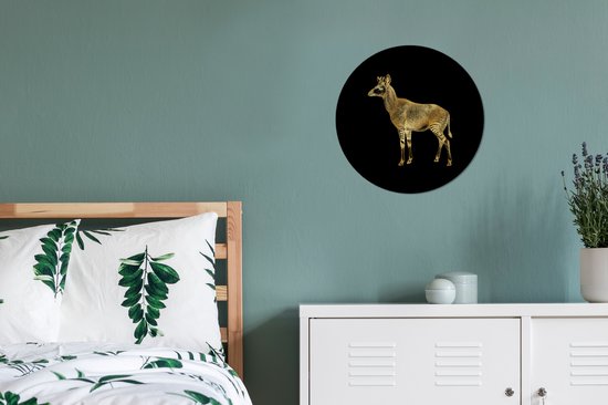 WallCircle - Cercle mural - Vintage - Okapi - Goud - Aluminium - Dibond - ⌀ 30 cm - Intérieur et extérieur