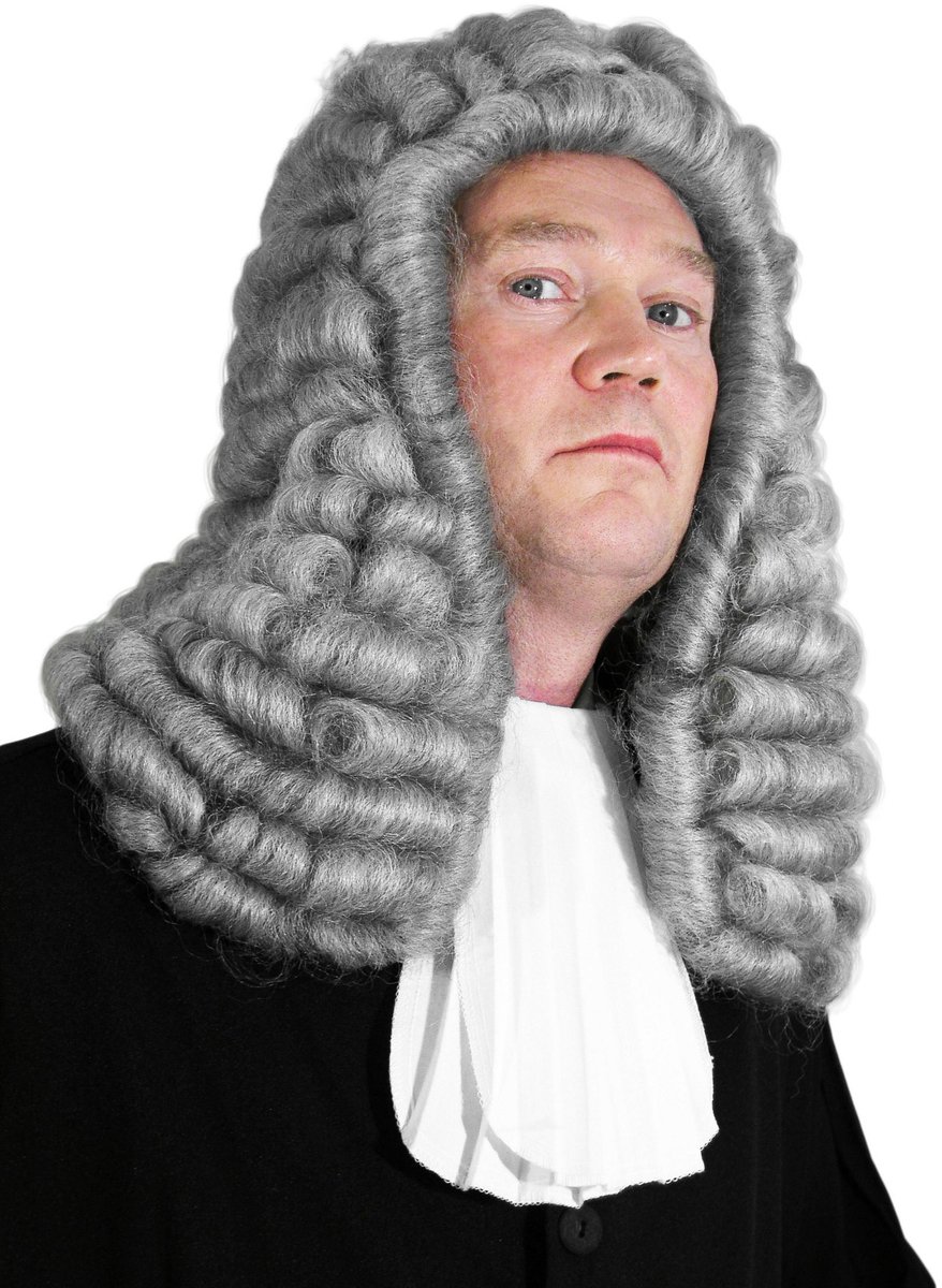 Rechter Pruik - Kostuum pruik voor carnaval