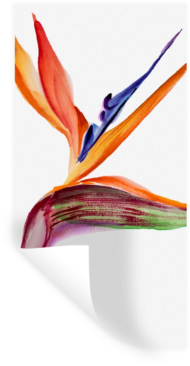 Muurstickers - Sticker Folie - Strelitzia - Aquarel - Bloemen - 60x120 cm - Plakfolie - Mu