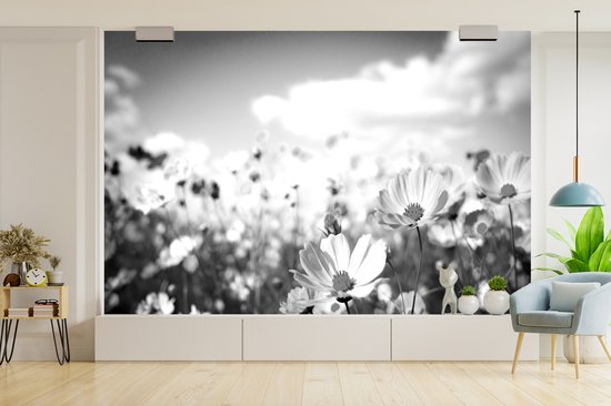 Papier Peint - Papier Papier peint photo Fleurs - Marguerite - Zwart - Wit - Largeur 420 cm x Hauteur 280 cm
