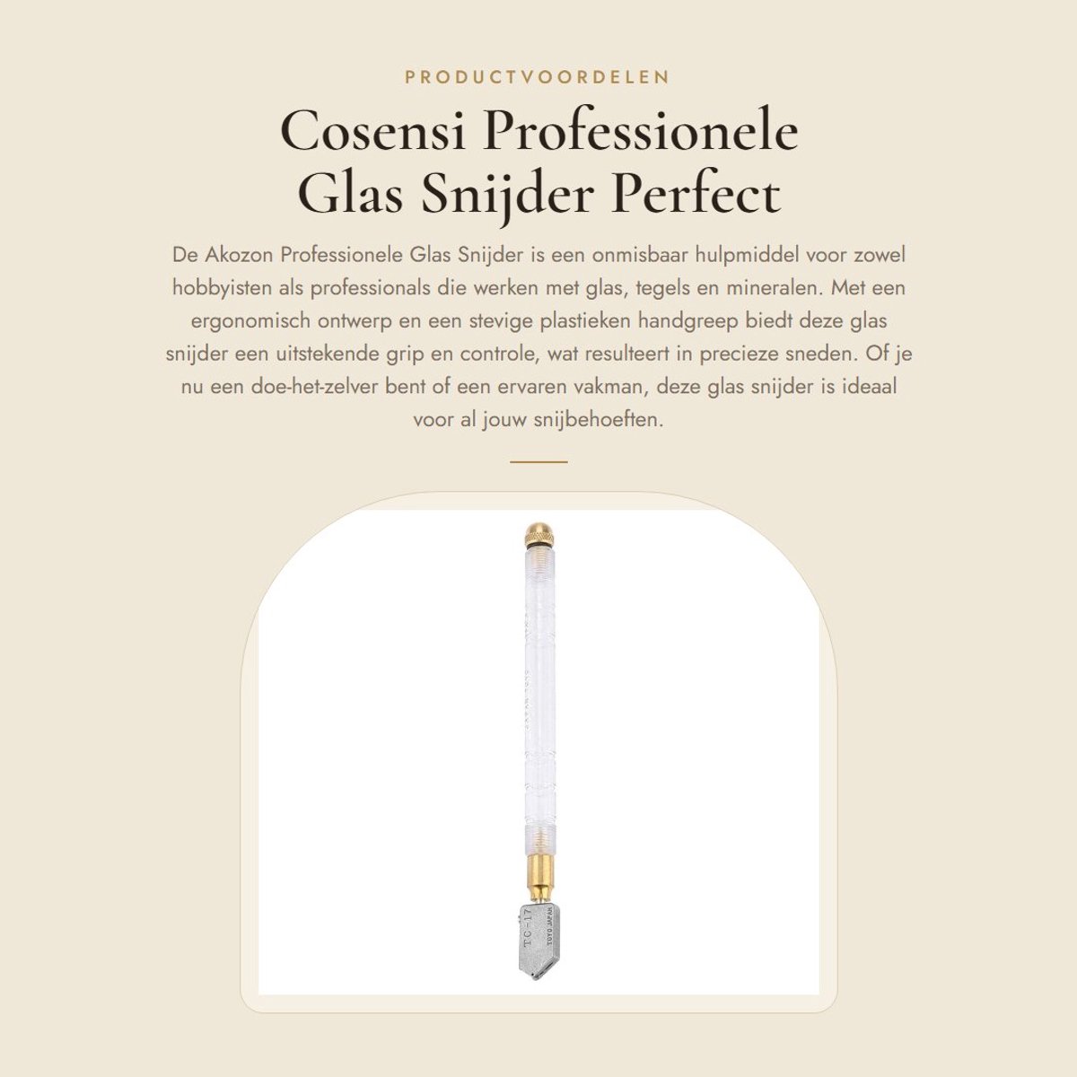 Dailygoods- Glas Snijder Professioneel - Glas Snijder met Olievoeding - Snijgereedschap - Kunststof Handvat - Precisie Snijden - Duurzaam Ontwerp