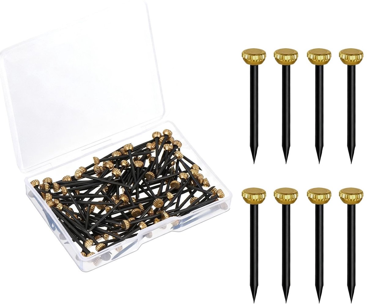 Dailygoods - 100 stuks kopspijkers van messing, voor beton, 1,3 x 25 mm, met opbergdoos, gouden kop en zwart staal, voor fotolijsten en wandschilderijen