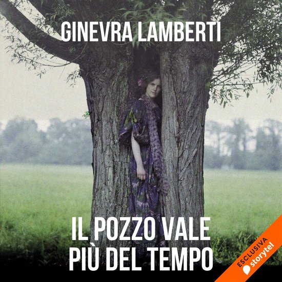 Il pozzo vale più del tempo - cover