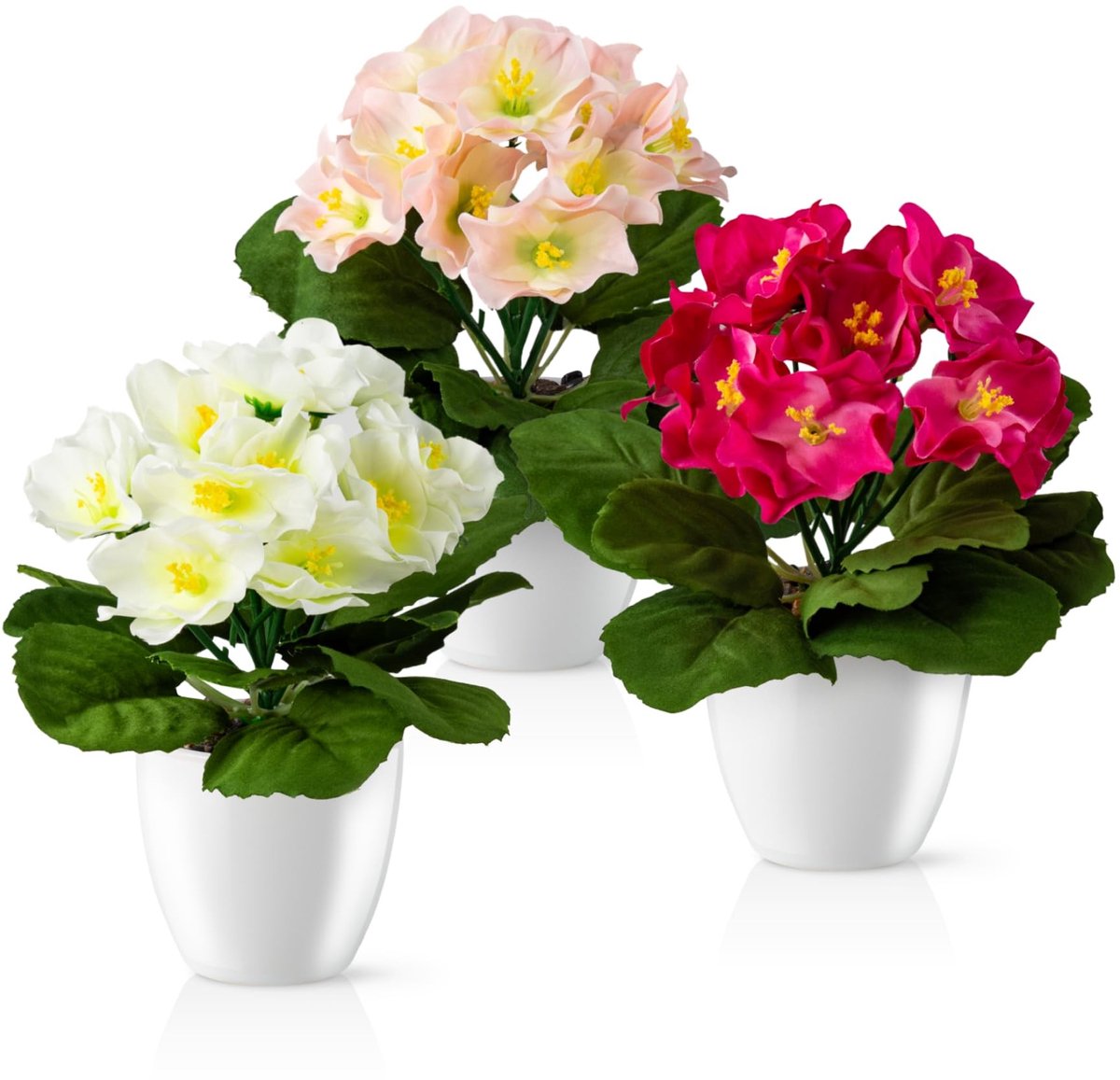 Omgoods - Japanse Begonia in Glanzende Ceramische Pot - Set van 3