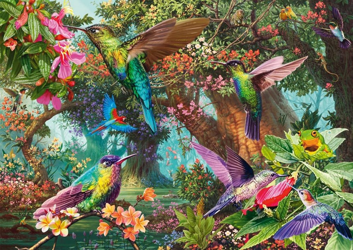 Spiele 58869 Kleurenspel van de kolibris, puzzel met 1000 stukjes