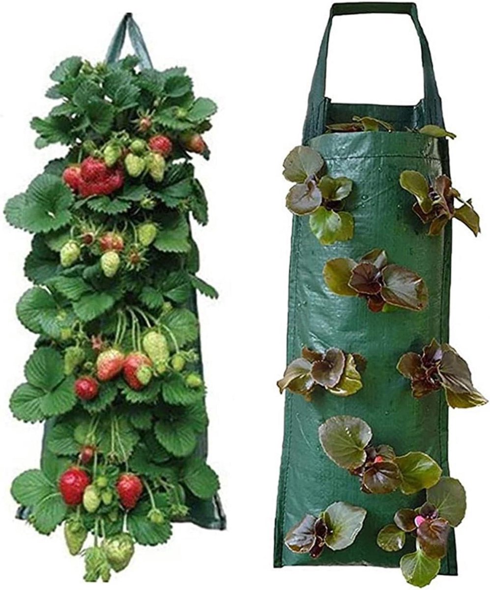 Ademende plantenzakken - Kweekzakken aardbeien - Planten kweken thuis - Wortelbescherming door beluchting - 60x25 cm - Groen