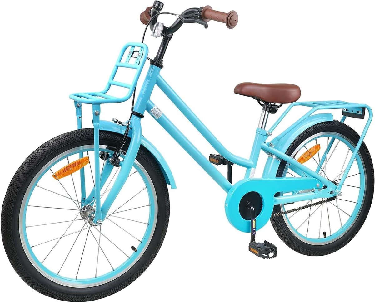 Kinderfiets Jeugdfiets Meisjesfiets Buiten Spelen Stalen Frame 22 inch Hemelsblauw