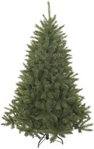 Triumph Tree Bristlecone Kerstboom - Kerstversiering voor Binnen met Volle Uitstraling - Kunstboom met 916 Dennentakken en Kliksysteem - Kunststof PVC - H215 x Ø127 cm - Groen