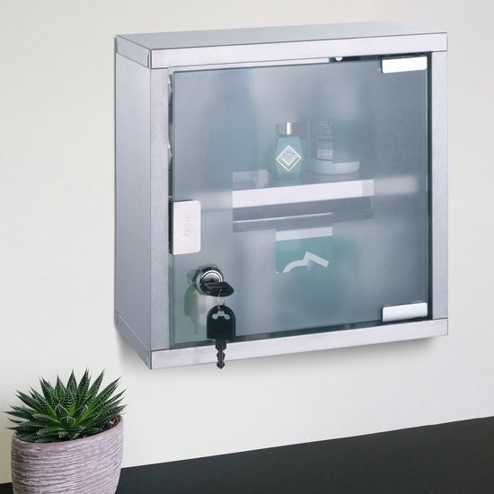 Zilverkleurig metalen medicijnkastje, aan de muur gemonteerd. De glazen deur is gesloten met een slot en sleutel. Een plant staat ernaast.