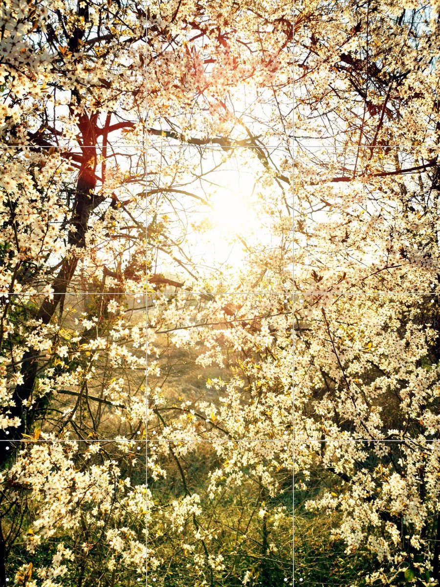 IXXI Hope, Angelo Cerantola - 60 x 80 cm - Gratis ophangtool - Grote wanddecoratie en posters - Fotografie, Studeerkamer, Gang, Slaapkamer, Lente