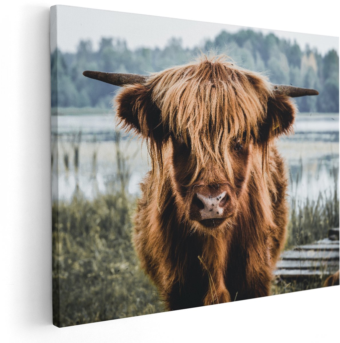 Artaza Canvas Schilderij Schotse Hooglander Koeienkop Bij Een Meer - 150x120 cm - Groot - Wanddecoratie Woonkamer - Schilderijen - Muurdecoratie
