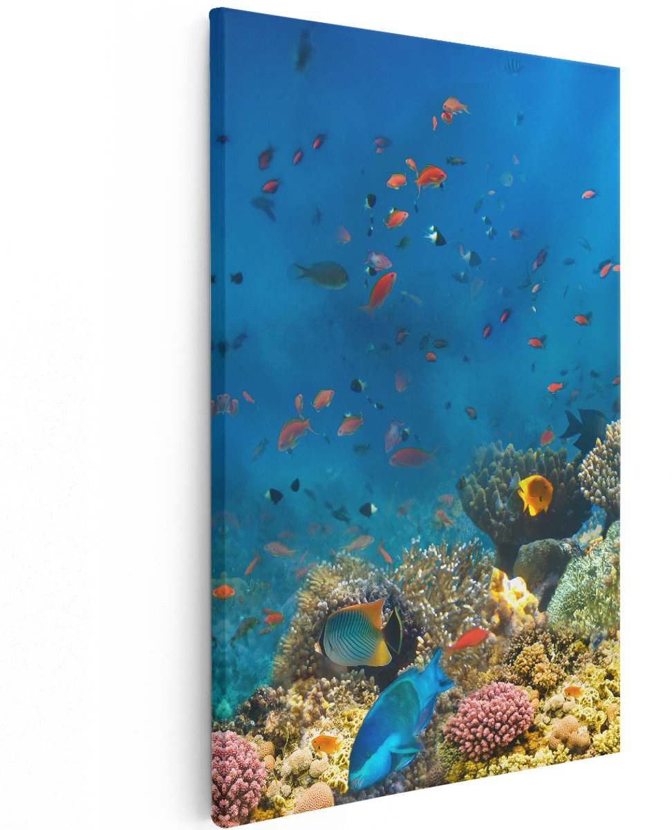 Artaza Canvas Schilderij Onderwater Vissen Met Koraal In De Zee - 120x180 cm - Groot - Wanddecoratie Woonkamer - Schilderijen - Muurdecoratie